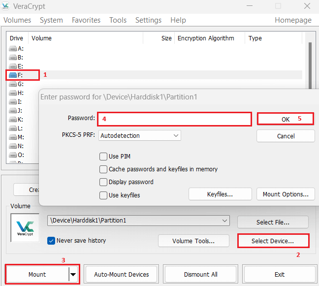 VeraCrypt - Mount a Device